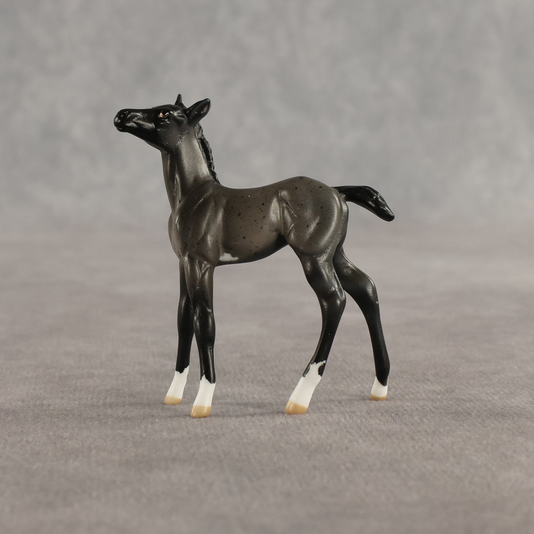 Azul & Cyan OOAK Chip FCM Stock Horse & Chip Foal by Anna Rieck SCD26