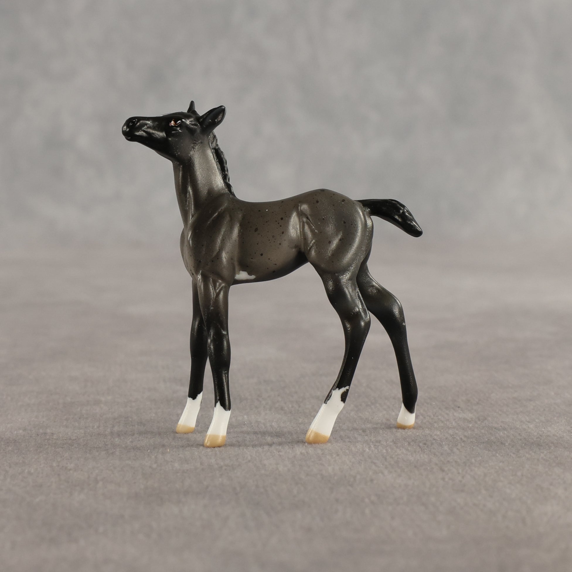 Azul & Cyan OOAK Chip FCM Stock Horse & Chip Foal by Anna Rieck SCD26