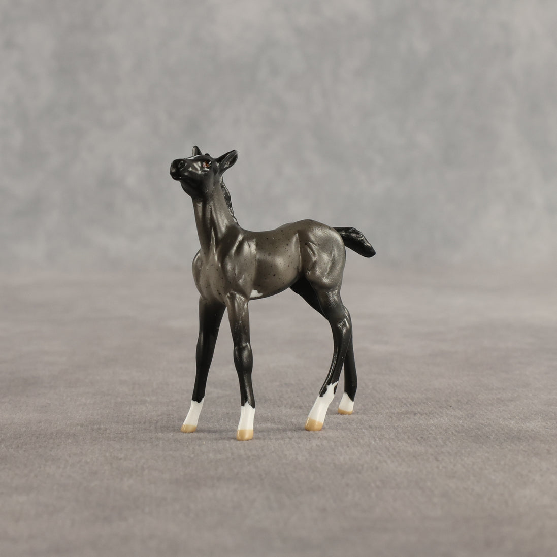 Azul & Cyan OOAK Chip FCM Stock Horse & Chip Foal by Anna Rieck SCD26