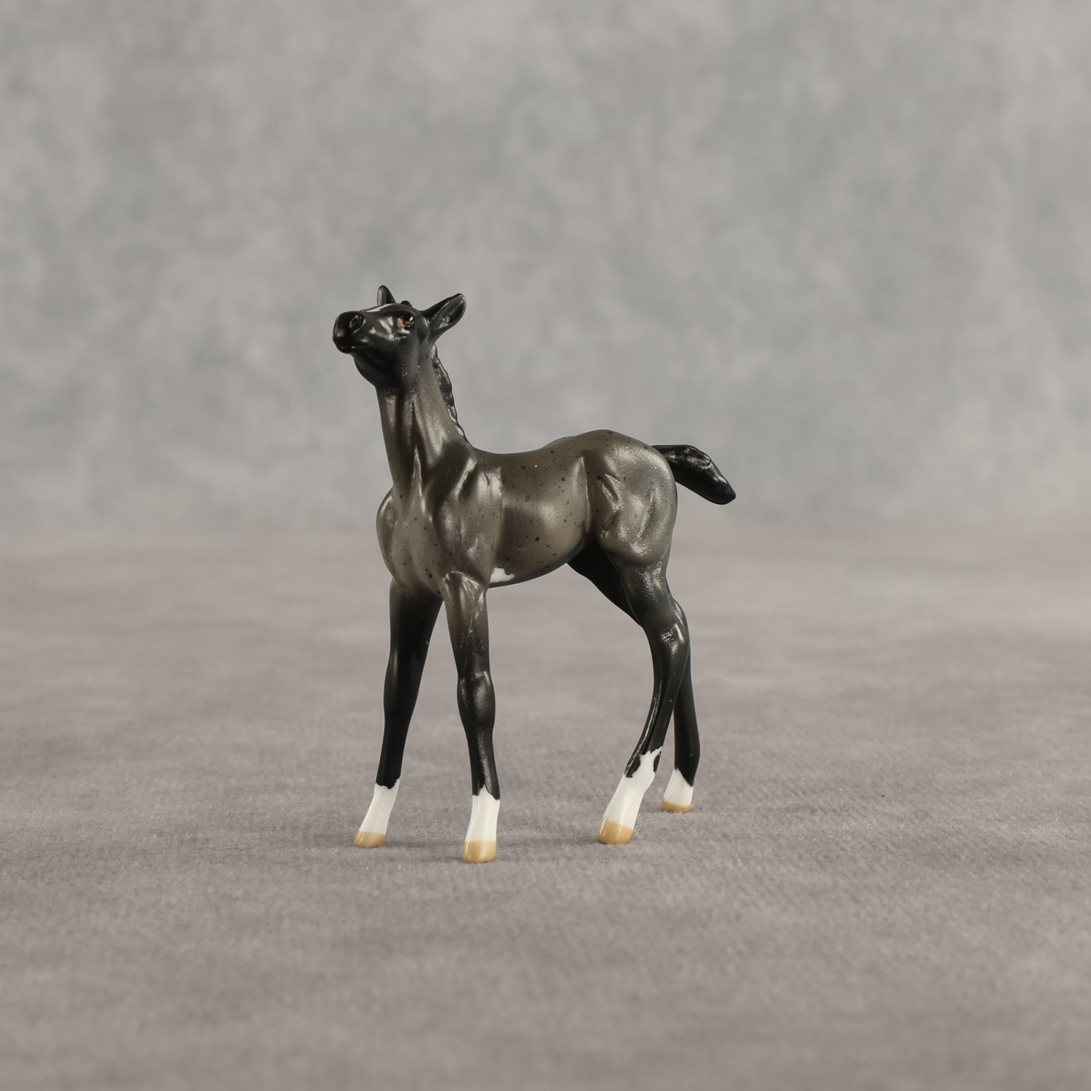 Azul & Cyan OOAK Chip FCM Stock Horse & Chip Foal by Anna Rieck SCD26