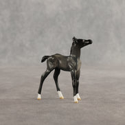 Azul & Cyan OOAK Chip FCM Stock Horse & Chip Foal by Anna Rieck SCD26