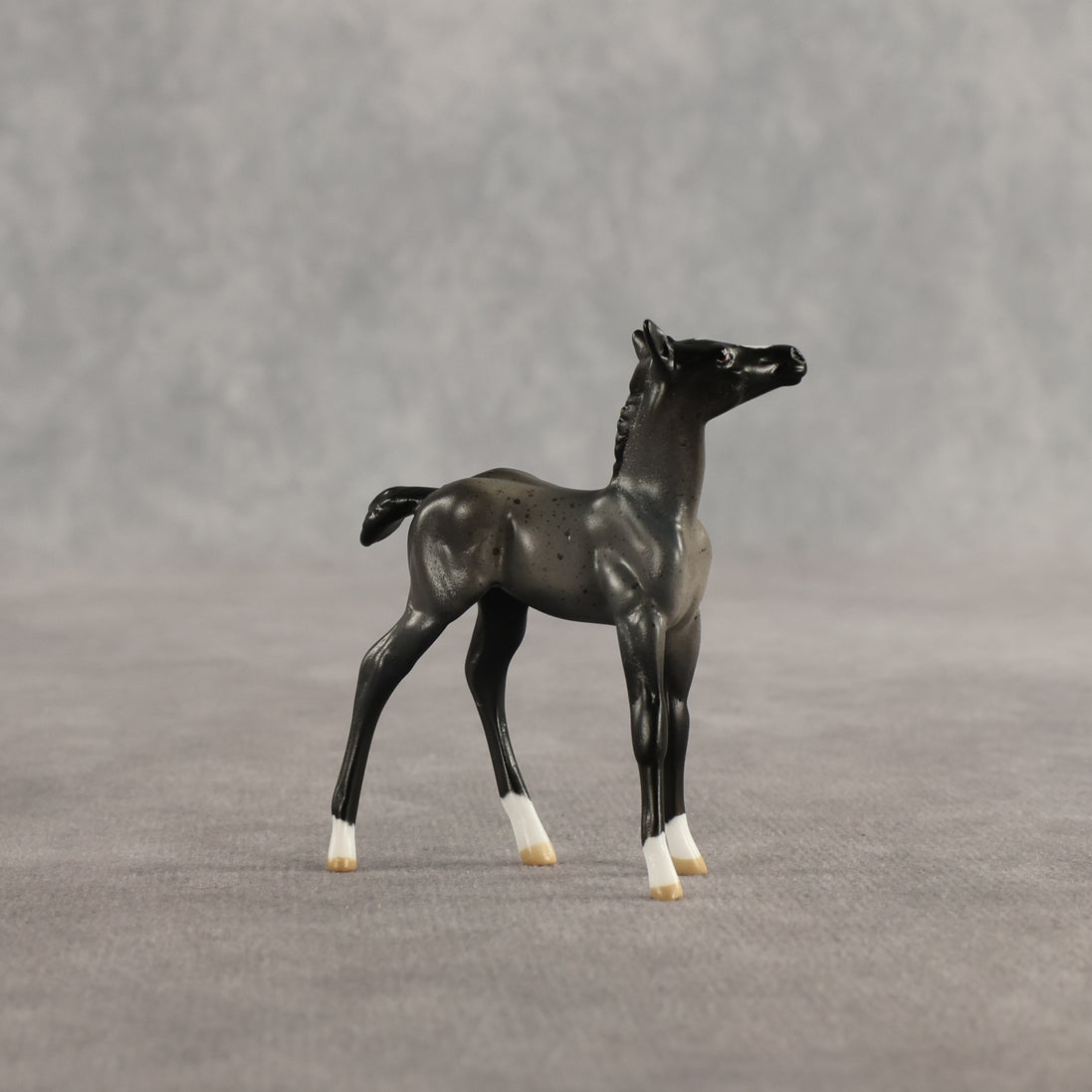 Azul & Cyan OOAK Chip FCM Stock Horse & Chip Foal by Anna Rieck SCD26
