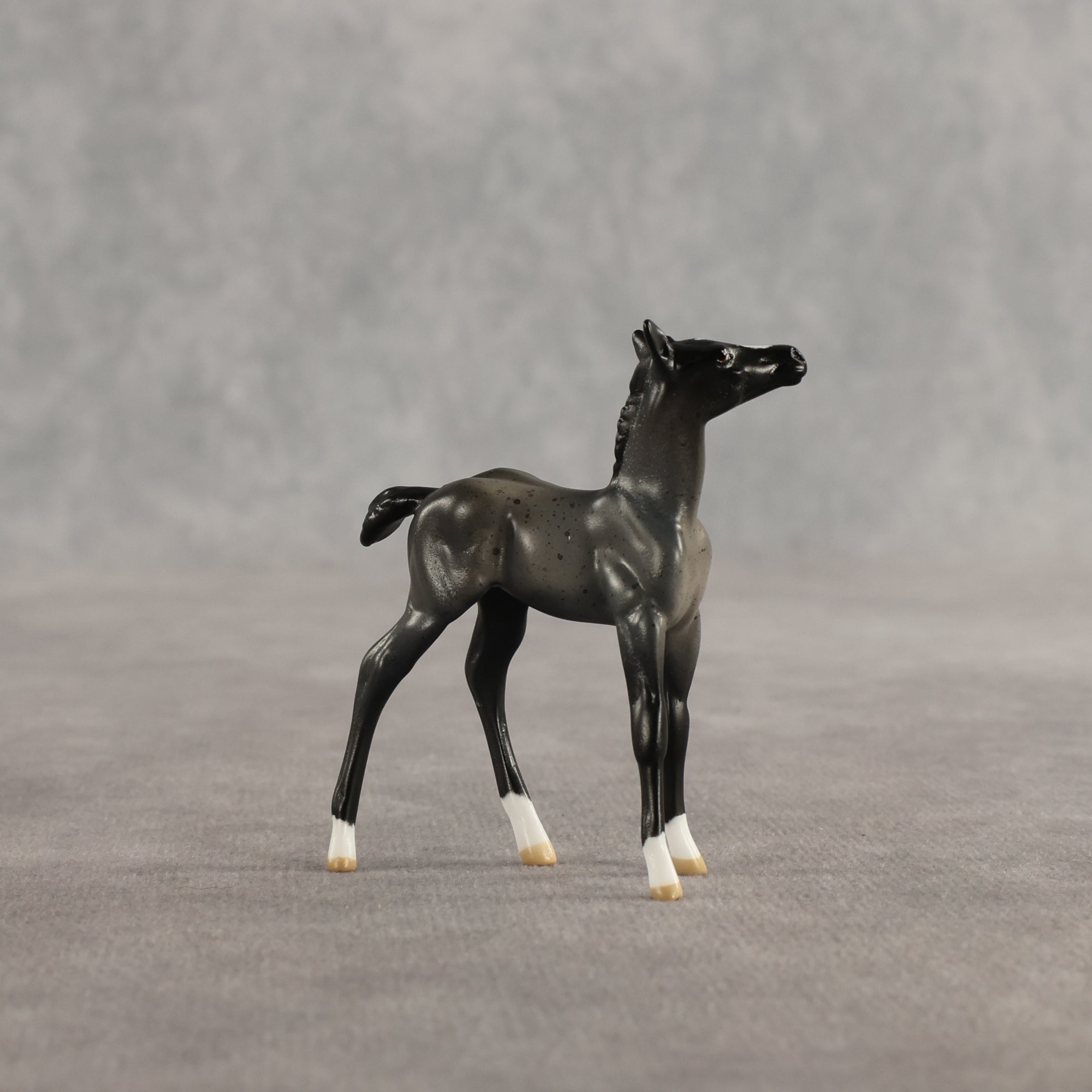 Azul & Cyan OOAK Chip FCM Stock Horse & Chip Foal by Anna Rieck SCD26