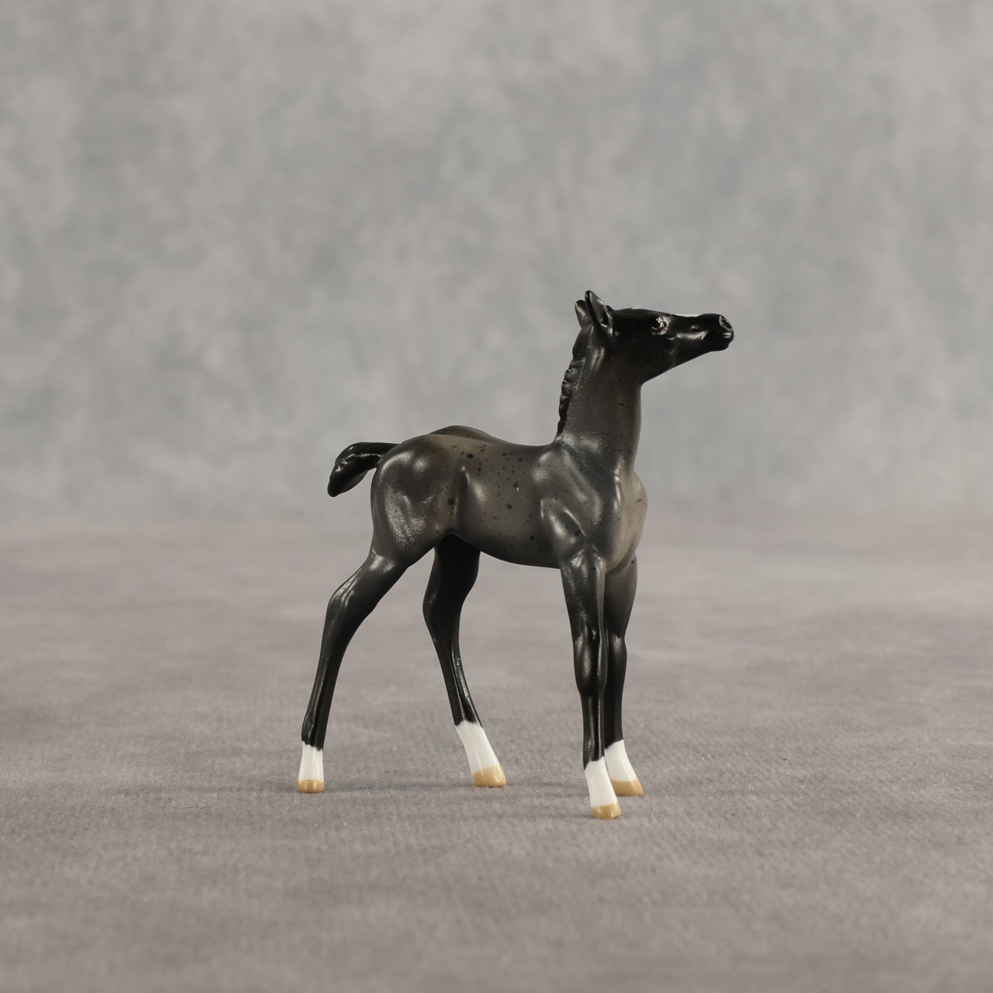 Azul &amp; Cyan OOAK Chip FCM Stock Horse &amp; Chip Foal by Anna Rieck SCD26