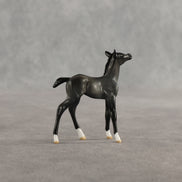 Azul & Cyan OOAK Chip FCM Stock Horse & Chip Foal by Anna Rieck SCD26