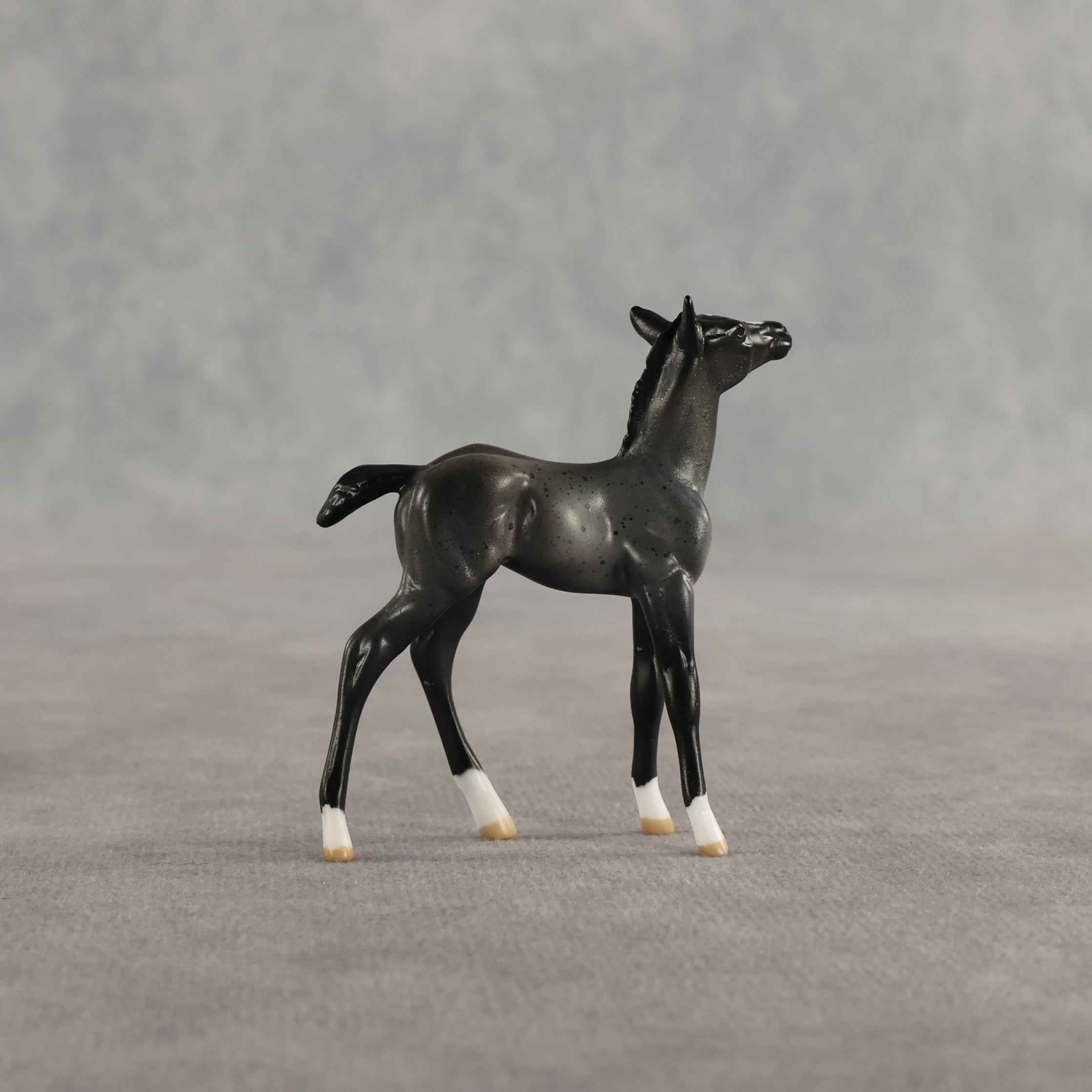 Azul & Cyan OOAK Chip FCM Stock Horse & Chip Foal by Anna Rieck SCD26
