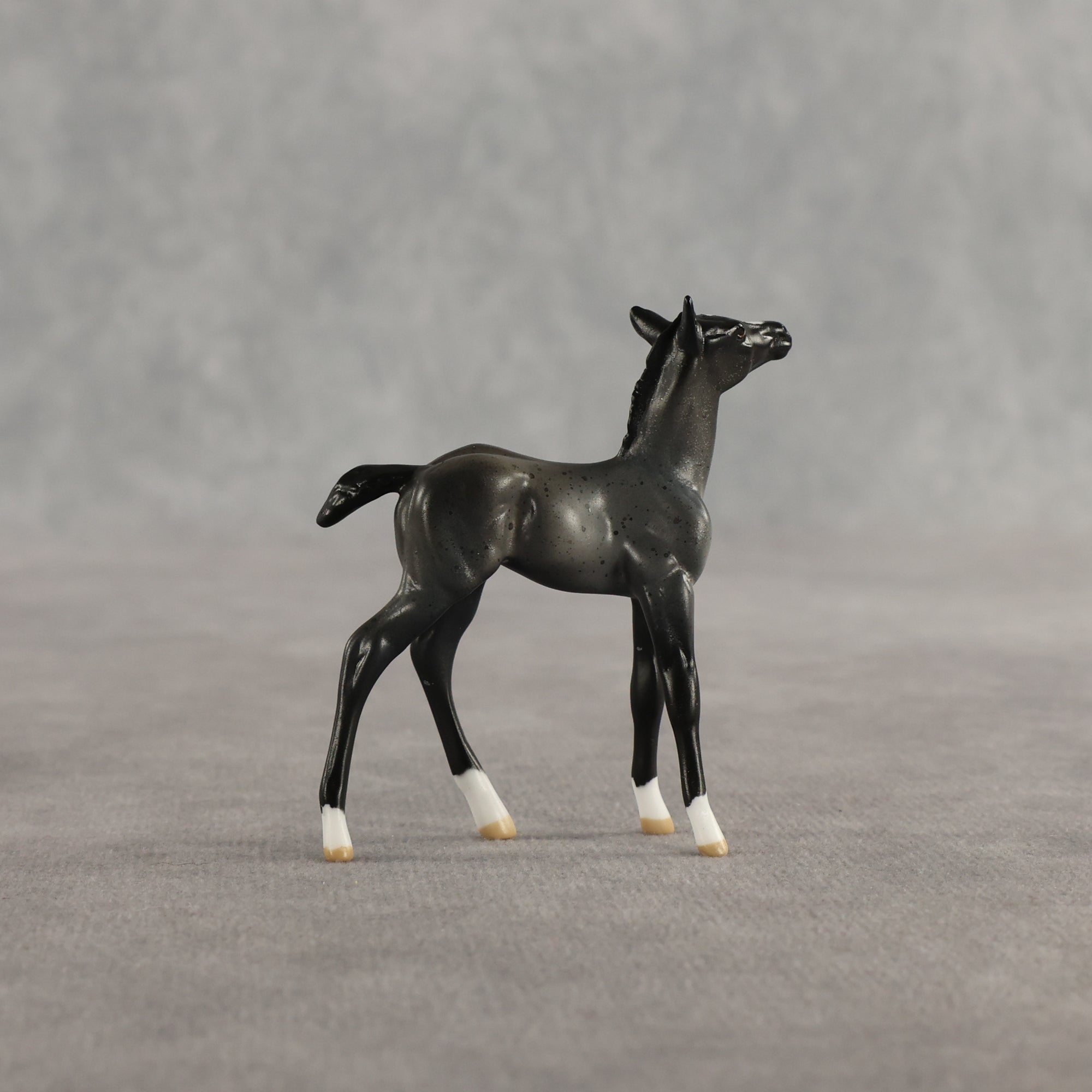 Azul &amp; Cyan OOAK Chip FCM Stock Horse &amp; Chip Foal by Anna Rieck SCD26