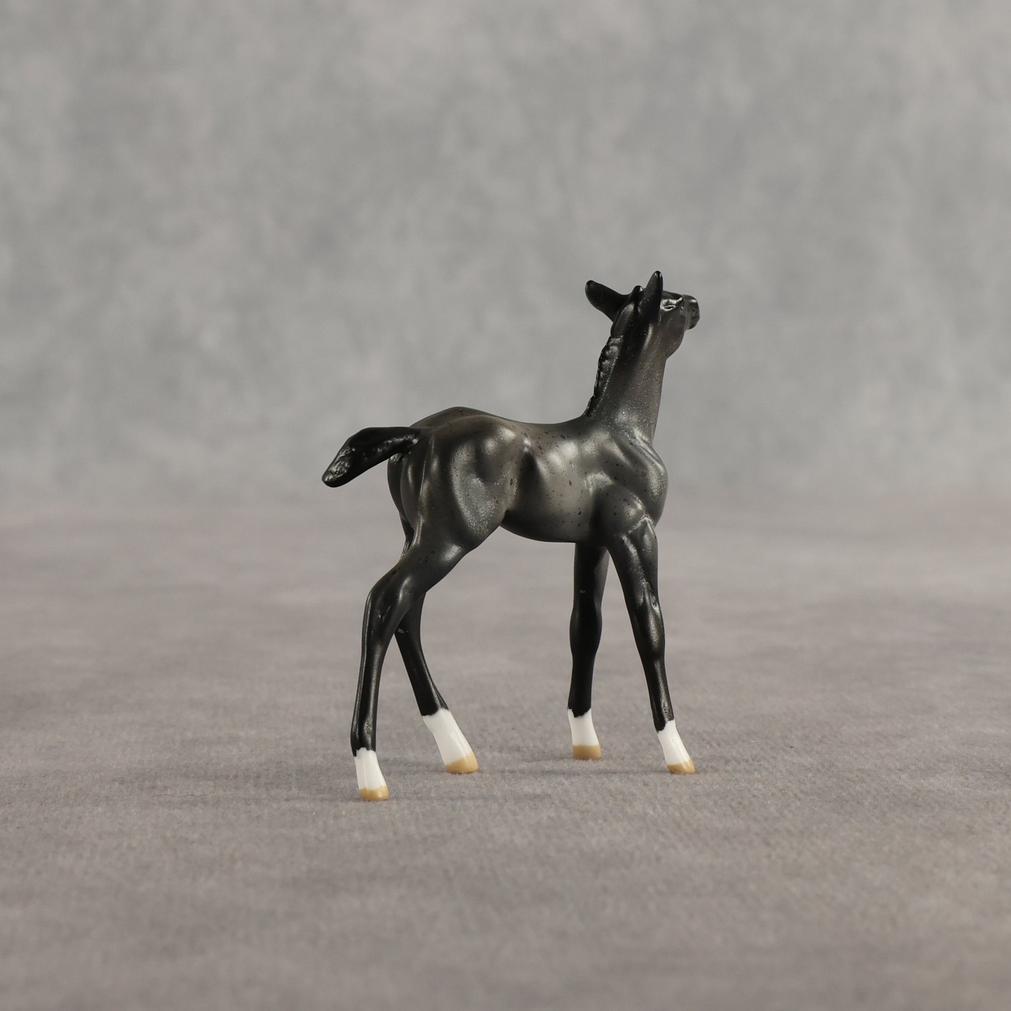 Azul &amp; Cyan OOAK Chip FCM Stock Horse &amp; Chip Foal by Anna Rieck SCD26