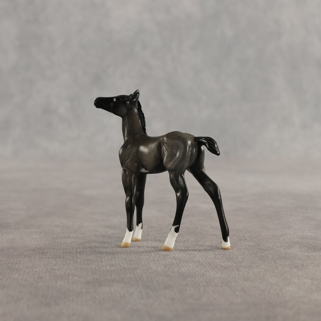 Azul & Cyan OOAK Chip FCM Stock Horse & Chip Foal by Anna Rieck SCD26
