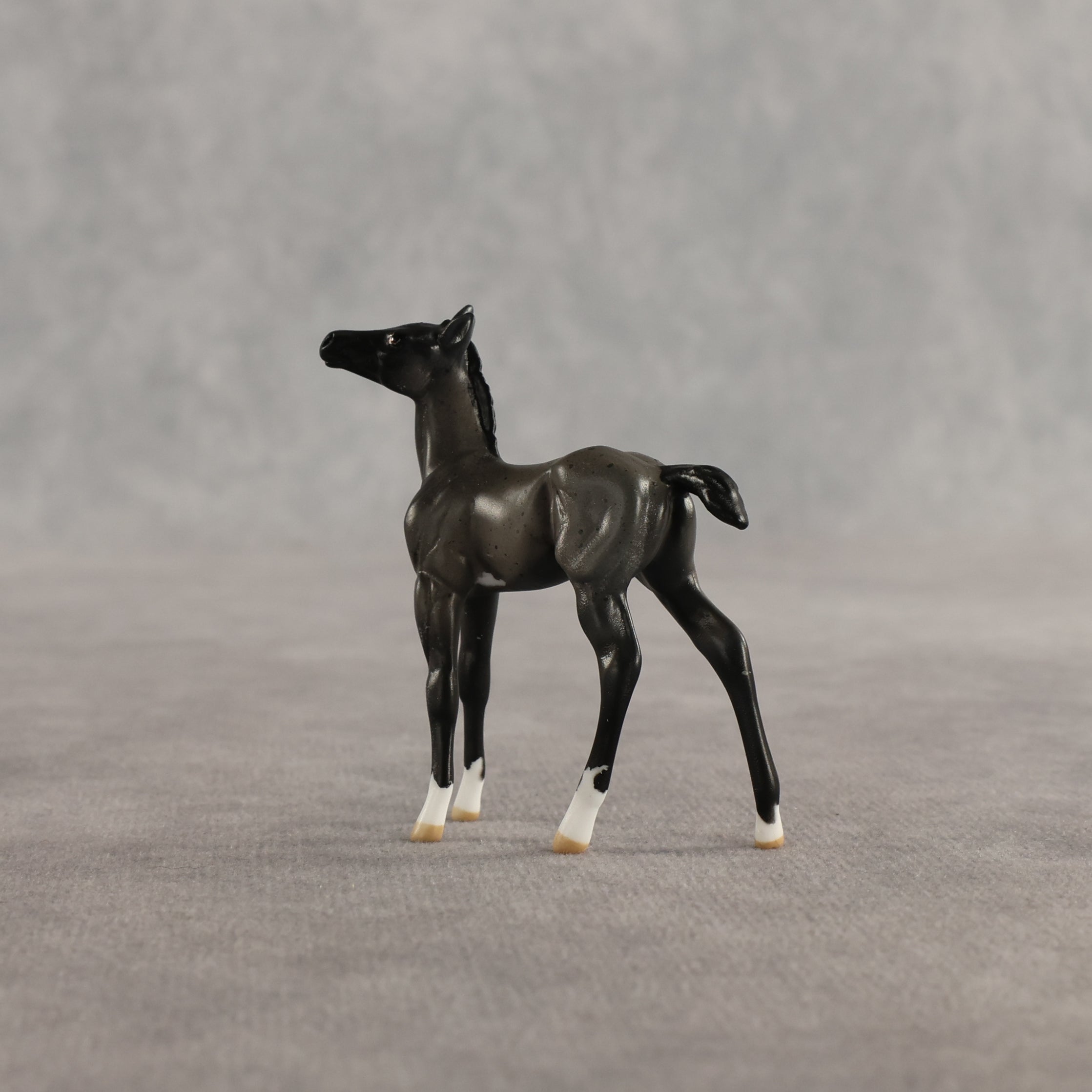 Azul & Cyan OOAK Chip FCM Stock Horse & Chip Foal by Anna Rieck SCD26