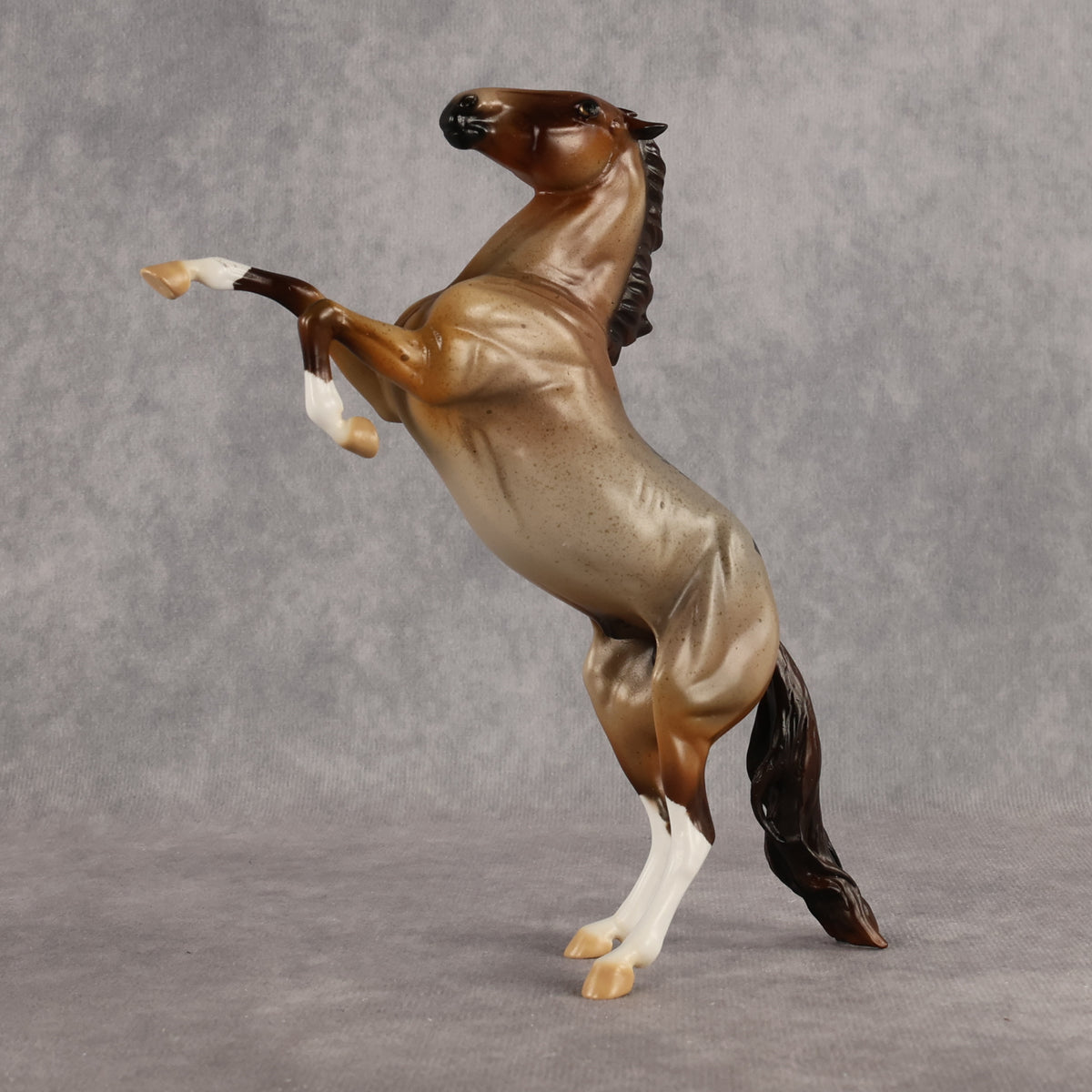 Cynisca OOAK Pebble Mustang by Enrique Duarte WC26