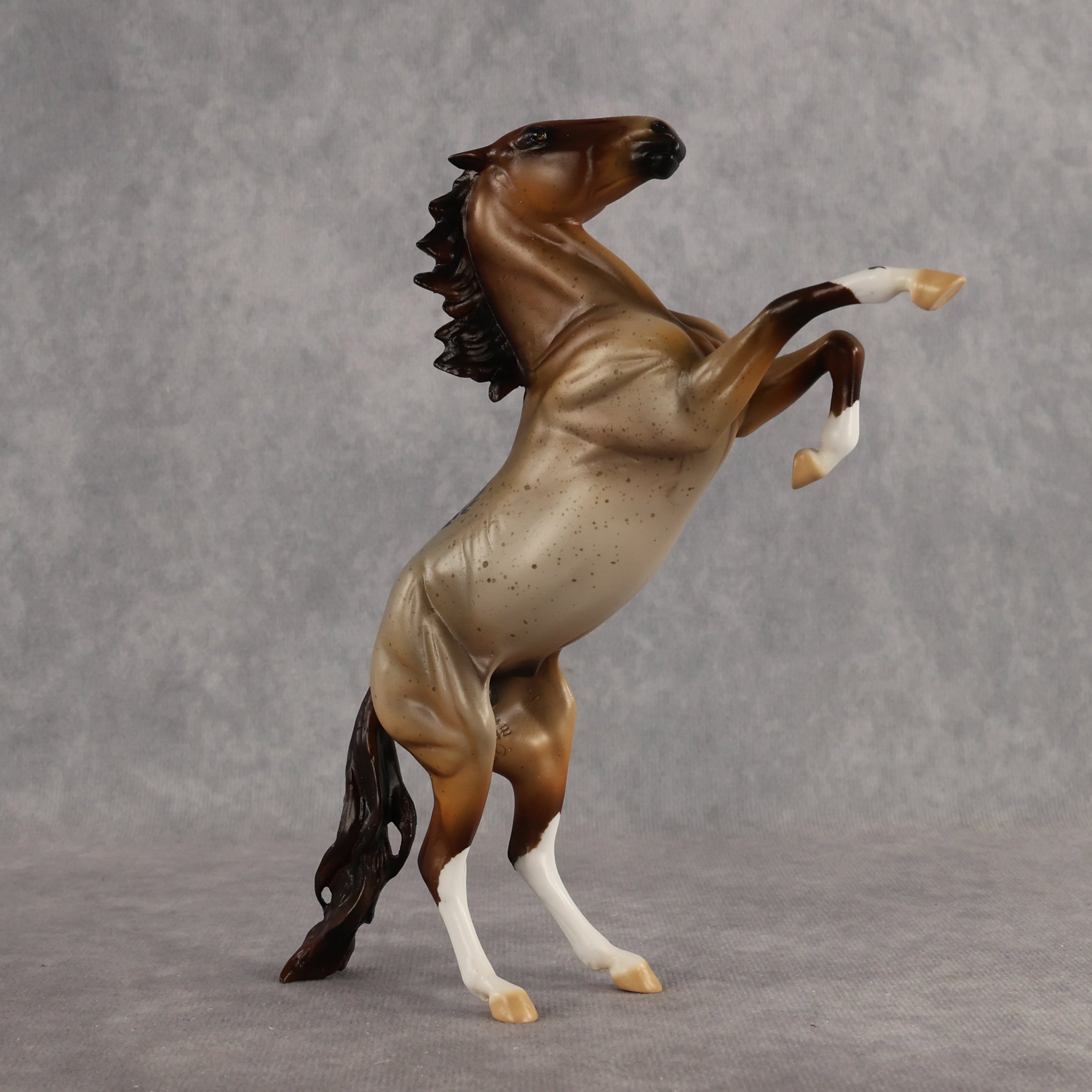 Cynisca OOAK Pebble Mustang by Enrique Duarte WC26