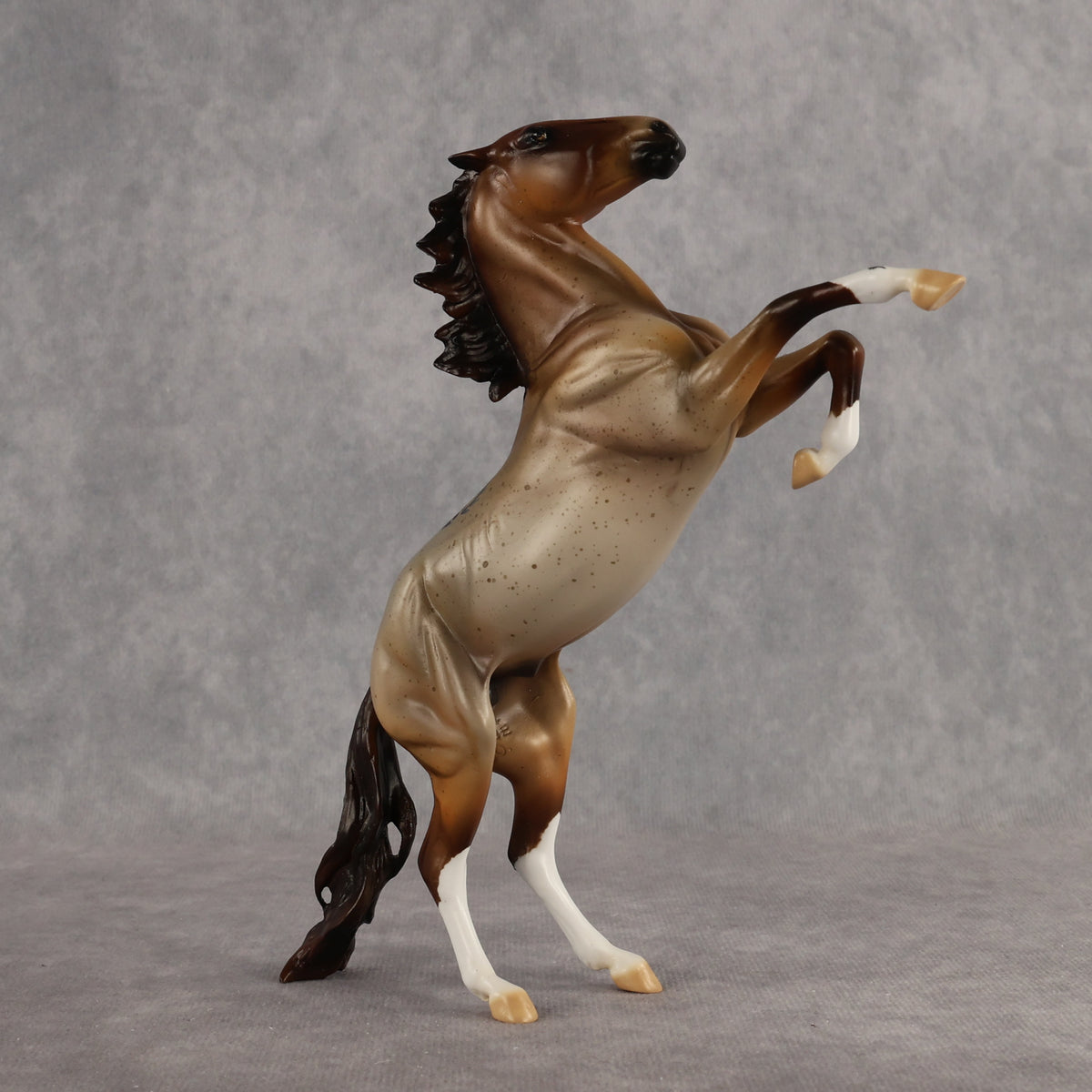 Cynisca OOAK Pebble Mustang by Enrique Duarte WC26