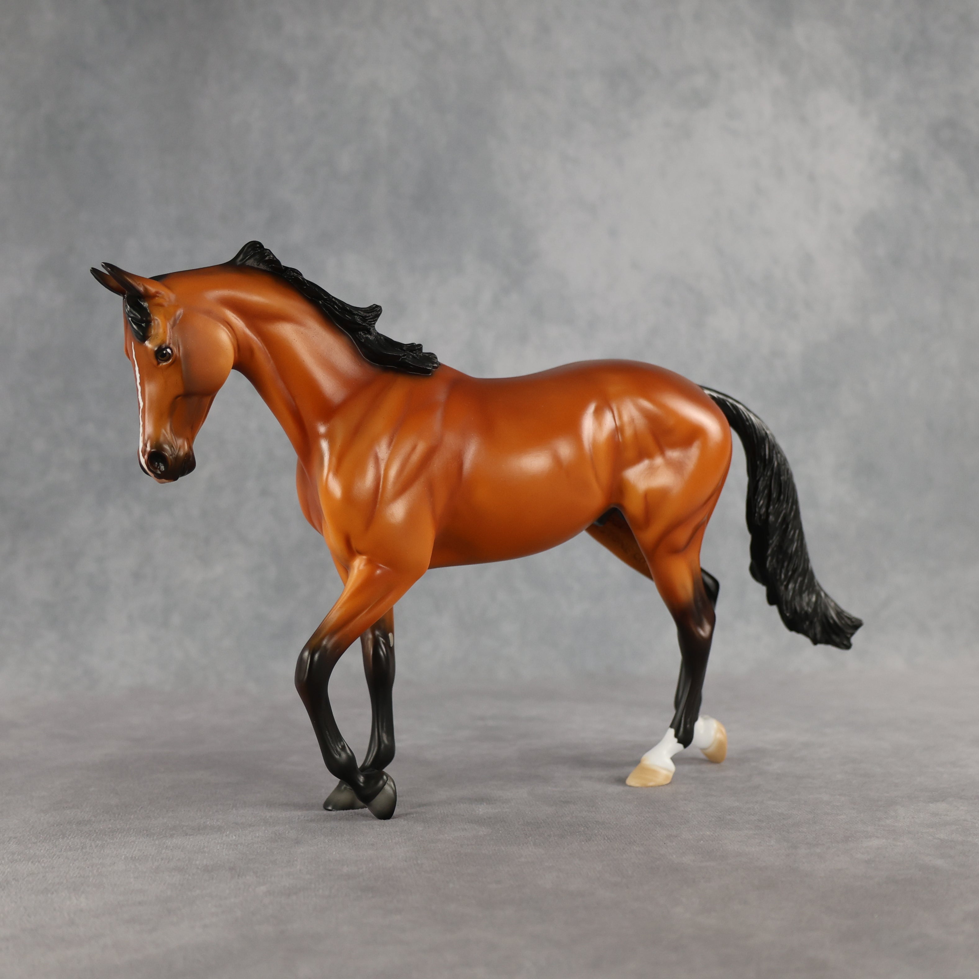 Design-A-Horse Bay Thoroughbred by The Stone Horses Team