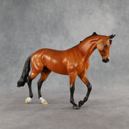 Design-A-Horse Bay Thoroughbred by The Stone Horses Team