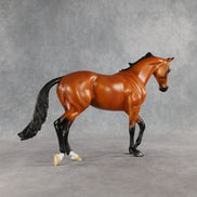 Design-A-Horse Bay Thoroughbred by The Stone Horses Team