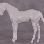 Design-A-Horse EFCM Stock Horse Weanling August Release DAH26 PM02512