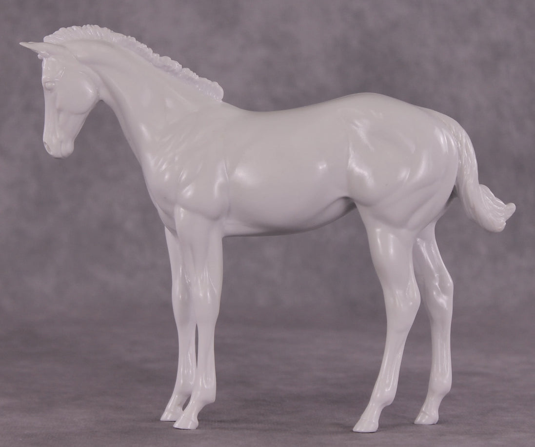 Design-A-Horse EFCM Stock Horse Weanling August Release DAH26 PM02512
