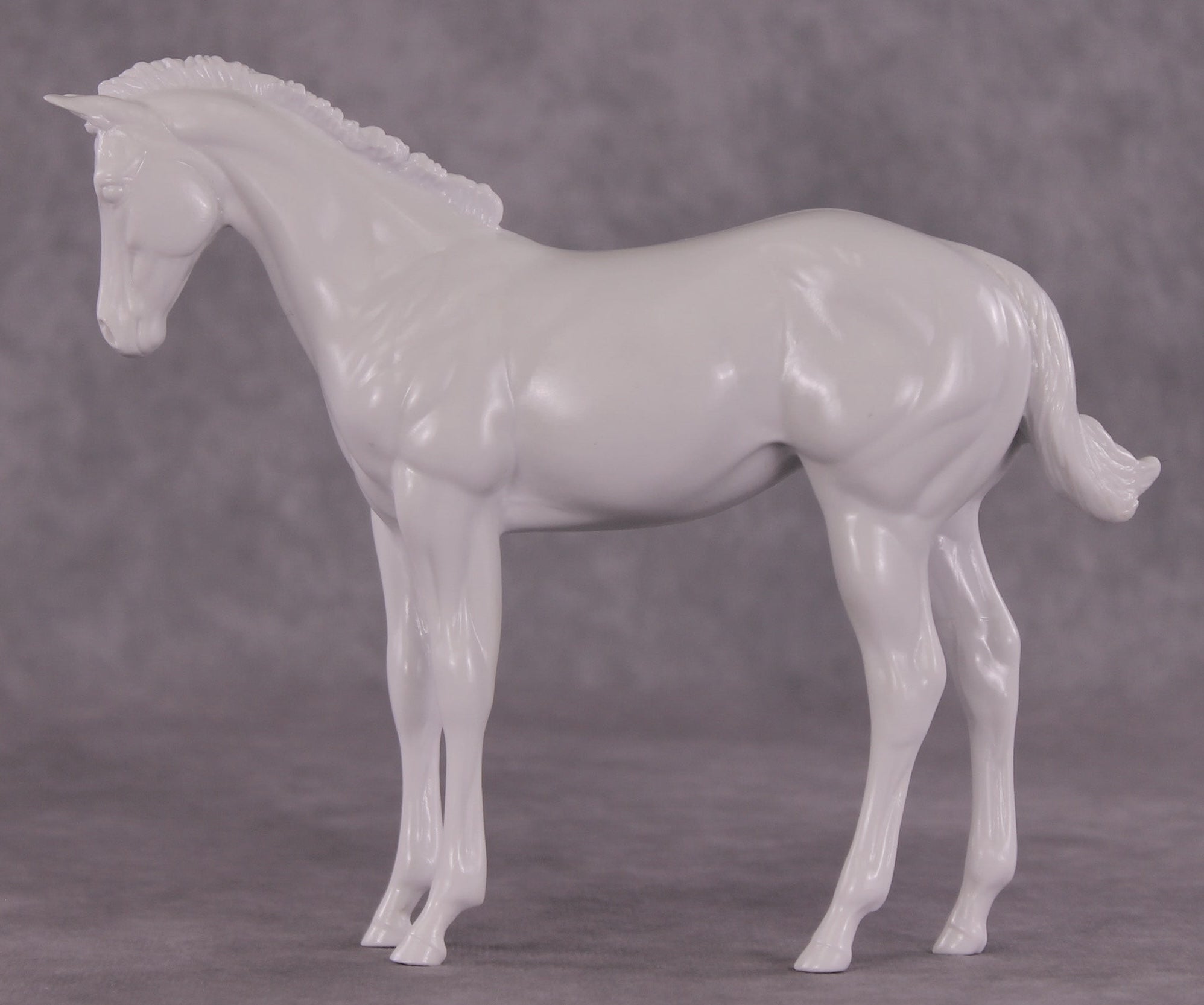 Design-A-Horse Stock Horse Weanling PM02512 - August release 2026