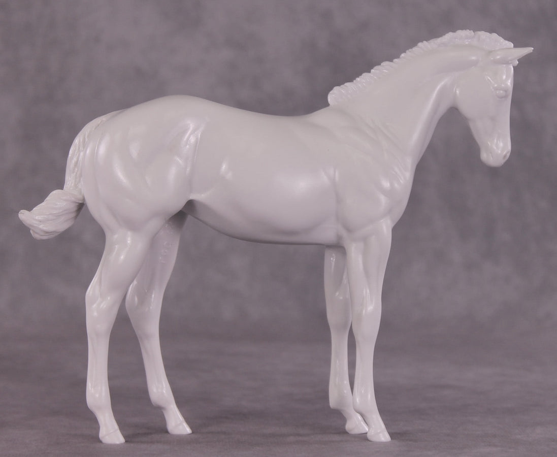 Design-A-Horse EFCM Stock Horse Weanling August Release DAH26 PM02512