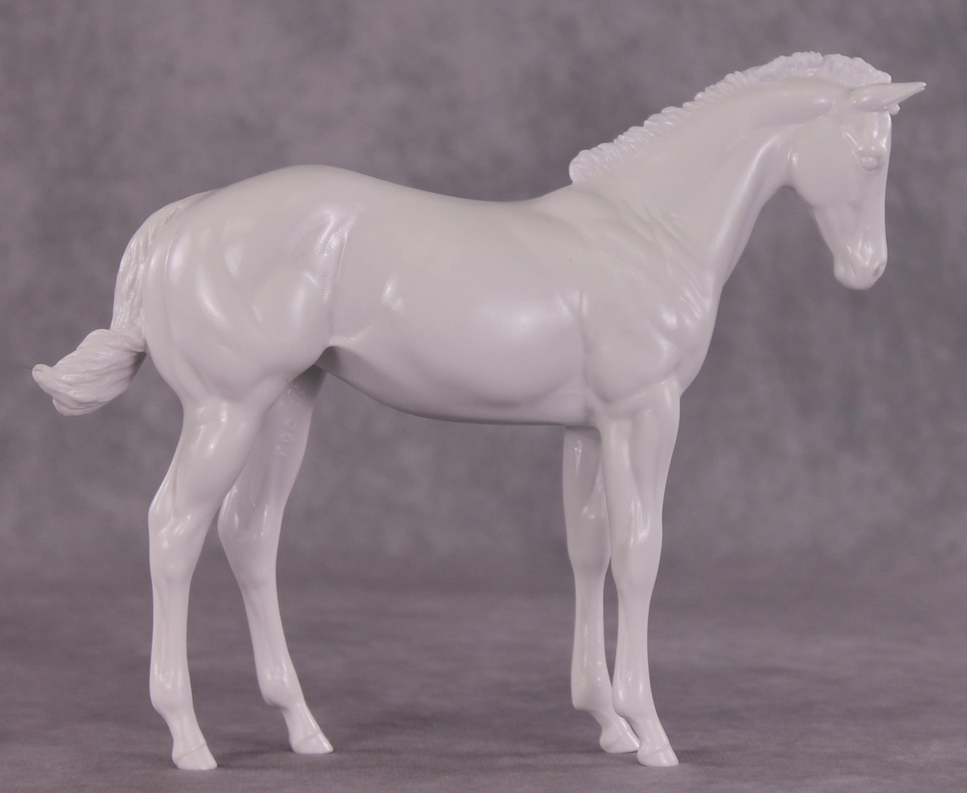 Design-A-Horse EFCM Stock Horse Weanling August Release DAH26 PM02512