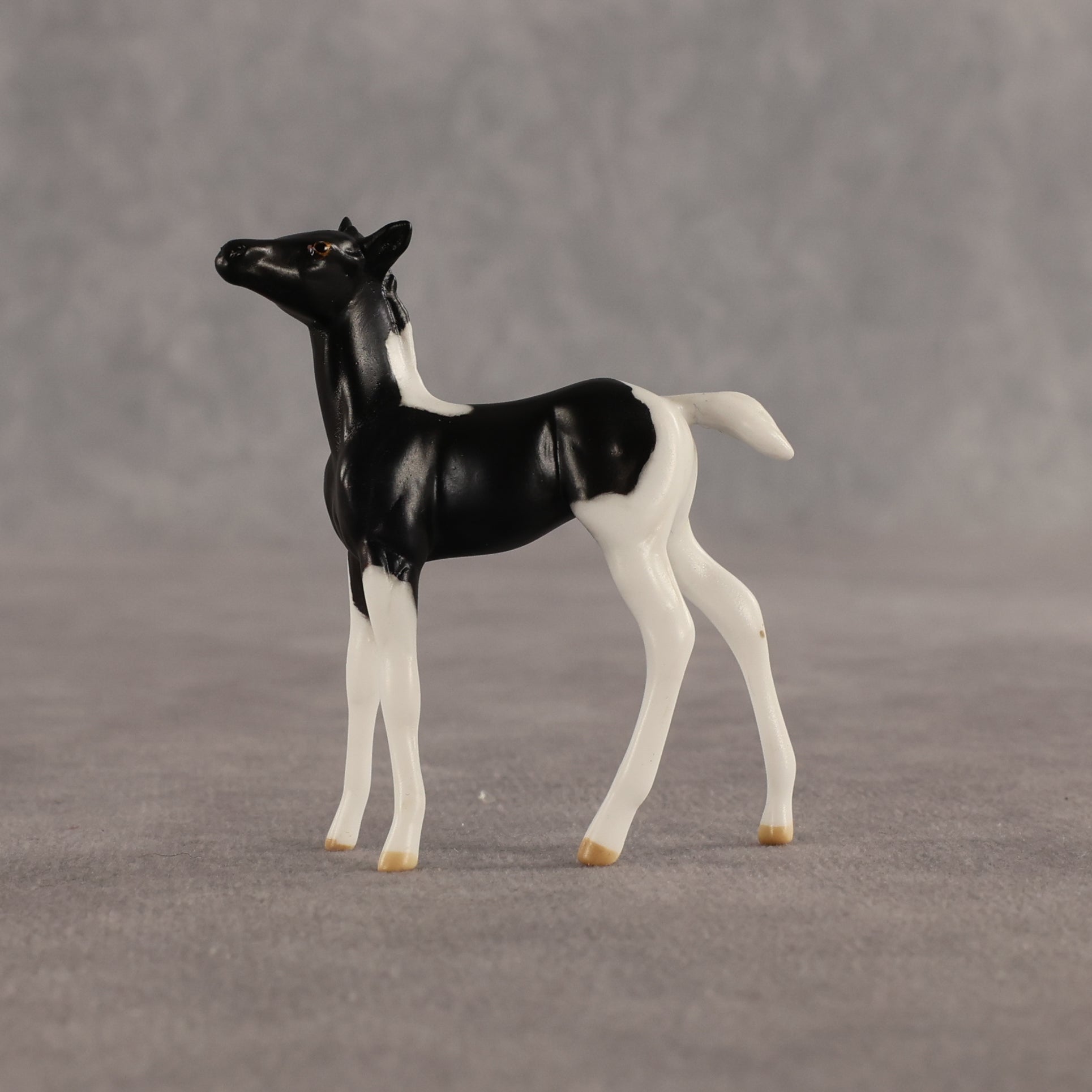 Violet & Daffodil OOAK Chip FCM Stock Horse & Chip Foal by Anna Rieck SCD26
