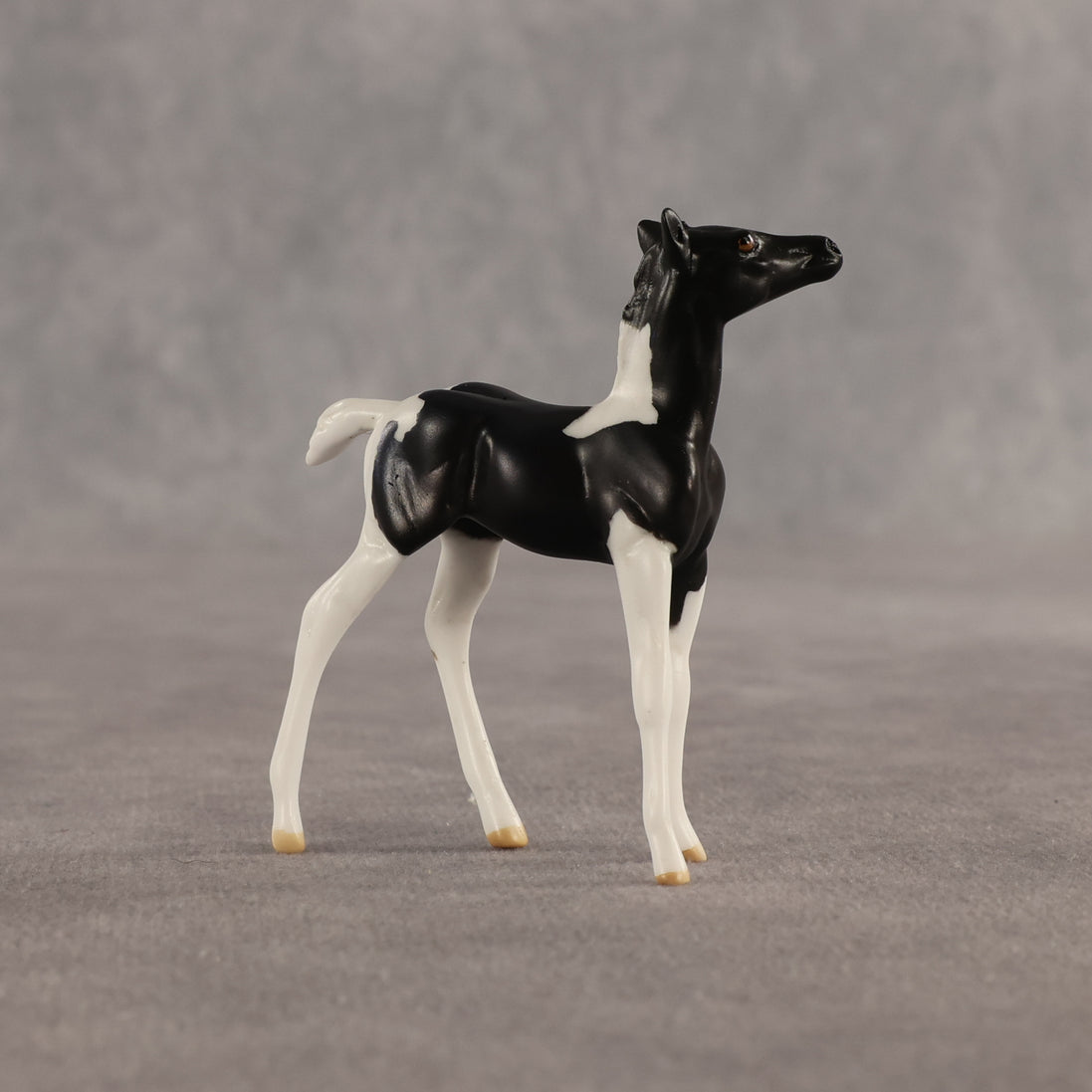 Violet & Daffodil OOAK Chip FCM Stock Horse & Chip Foal by Anna Rieck SCD26