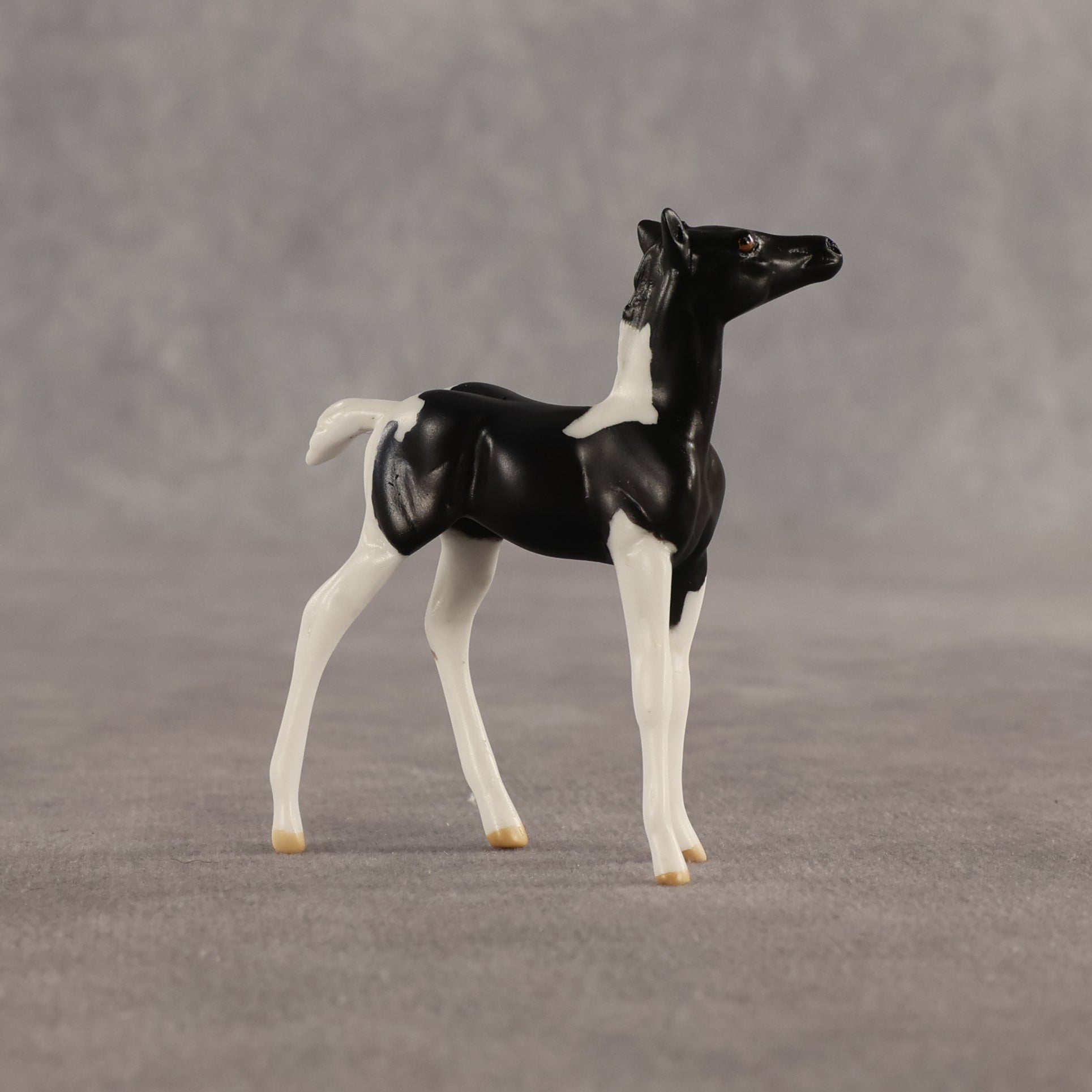 Violet & Daffodil OOAK Chip FCM Stock Horse & Chip Foal by Anna Rieck SCD26