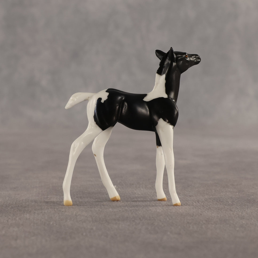 Violet & Daffodil OOAK Chip FCM Stock Horse & Chip Foal by Anna Rieck SCD26