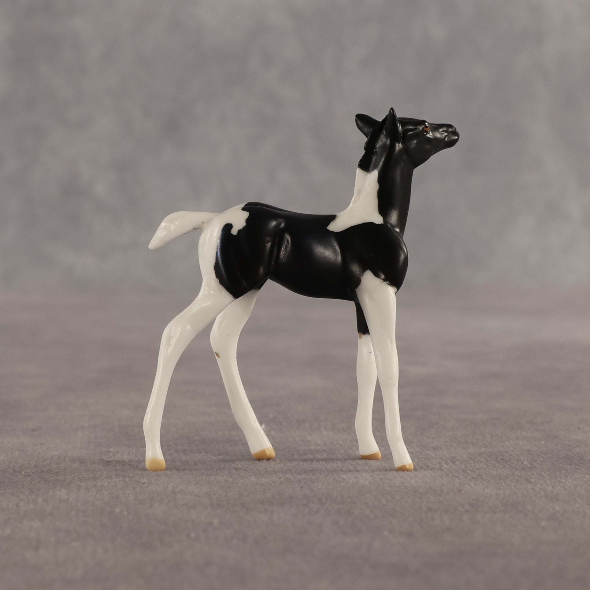 Violet & Daffodil OOAK Chip FCM Stock Horse & Chip Foal by Anna Rieck SCD26