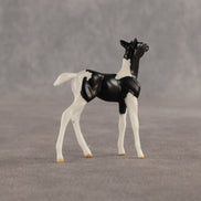 Violet & Daffodil OOAK Chip FCM Stock Horse & Chip Foal by Anna Rieck SCD26