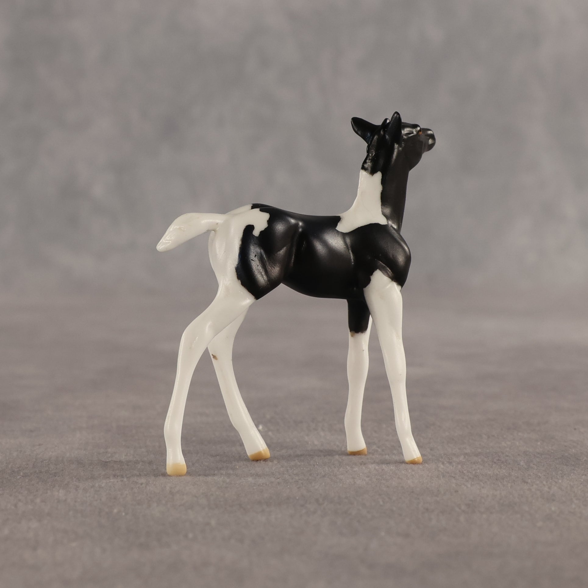 Violet & Daffodil OOAK Chip FCM Stock Horse & Chip Foal by Anna Rieck SCD26