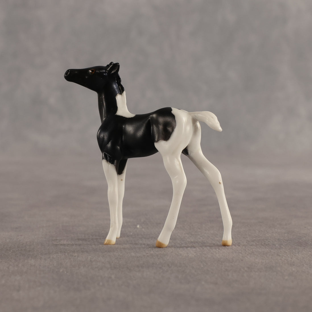 Violet & Daffodil OOAK Chip FCM Stock Horse & Chip Foal by Anna Rieck SCD26