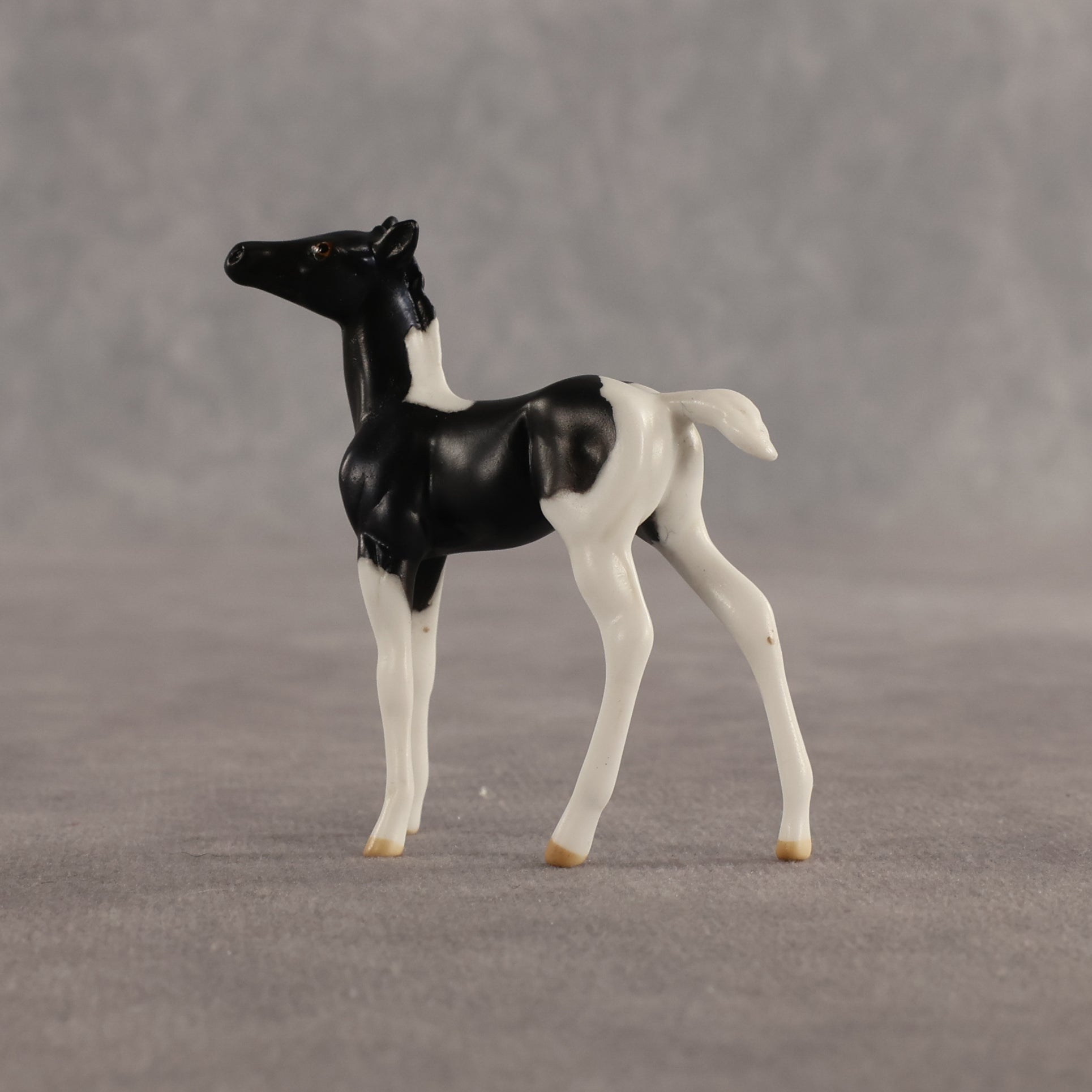 Violet & Daffodil OOAK Chip FCM Stock Horse & Chip Foal by Anna Rieck SCD26