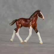 Dahlia OOAK Violet Chip Draft Foal by Carrie Keller LHS26