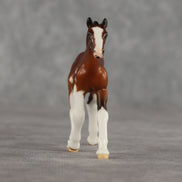 Dahlia OOAK Violet Chip Draft Foal by Carrie Keller LHS26