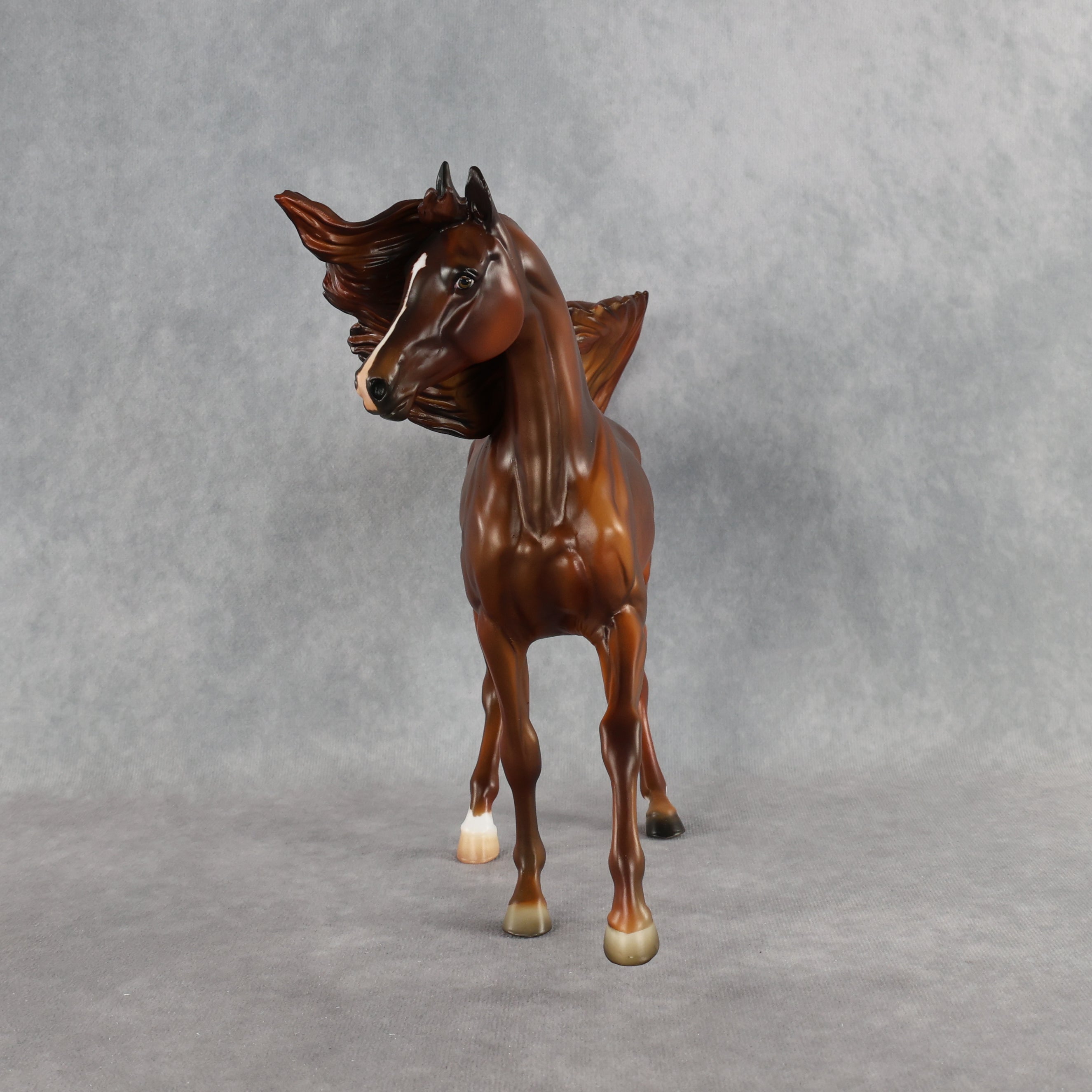 Dancing Queen OOAK FCM Arabian Mare by Julie Keim Best Offer 9.8.2026