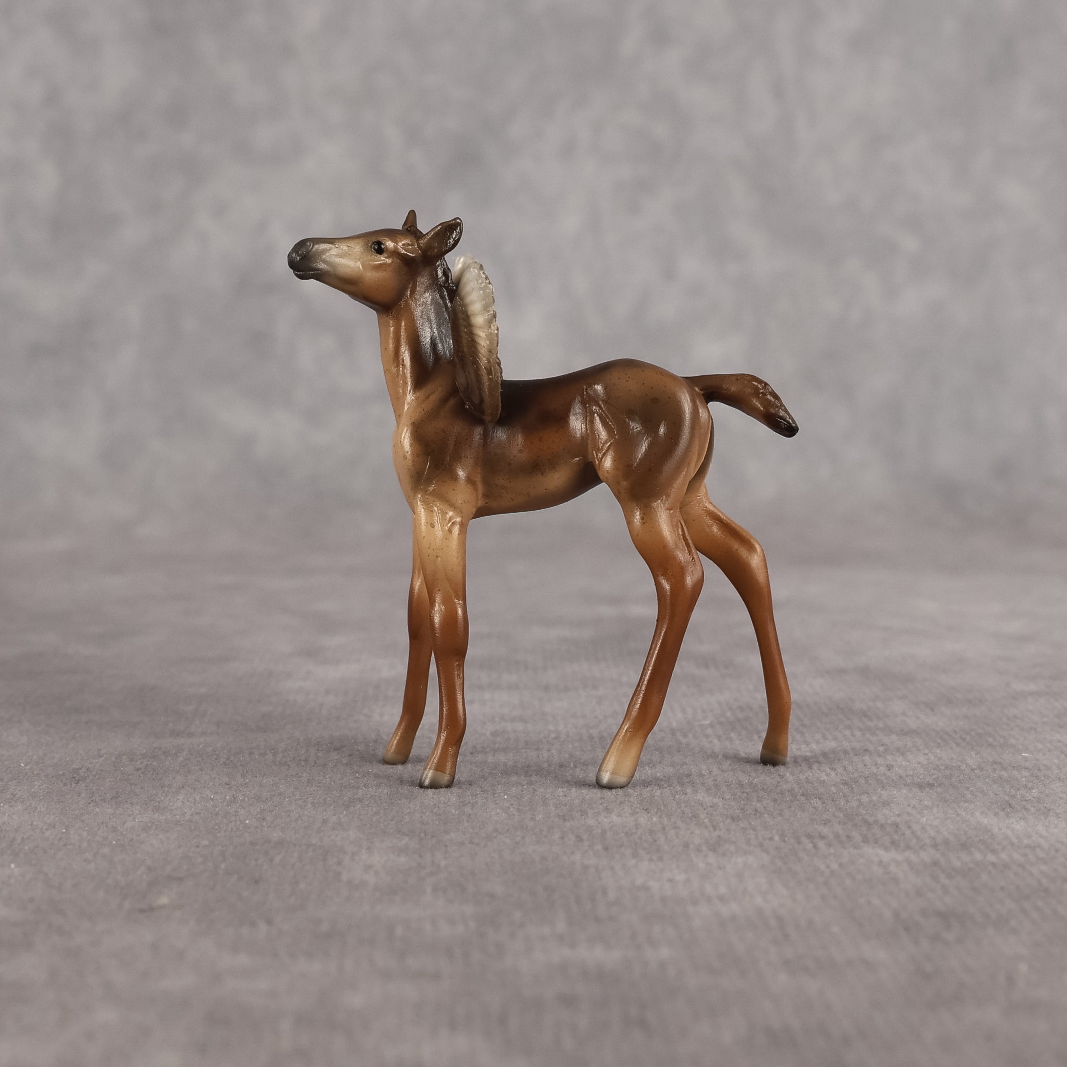 Dandy OOAK FCM Chip Foal by Angela Marleau FTF26