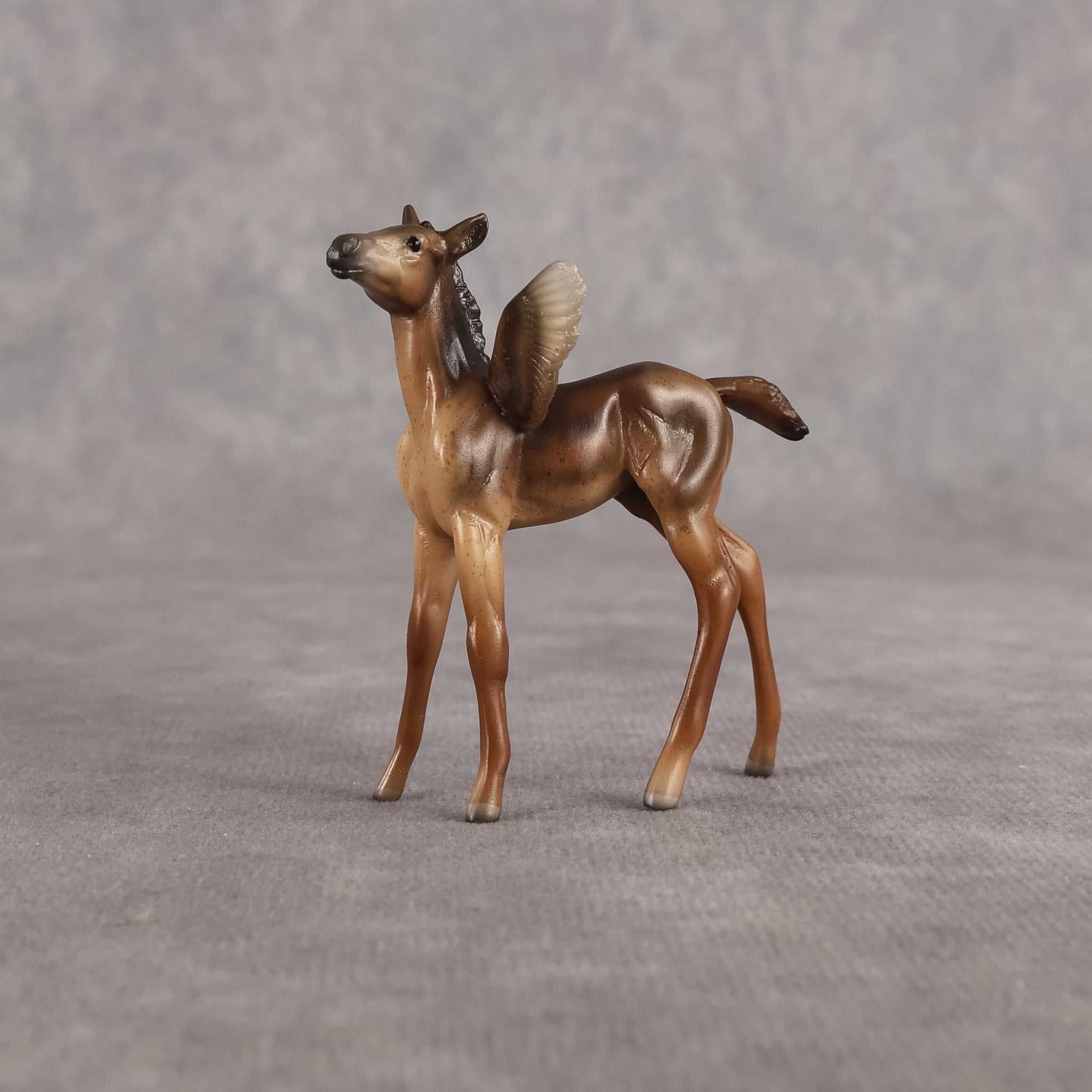 Dandy OOAK FCM Chip Foal by Angela Marleau FTF26