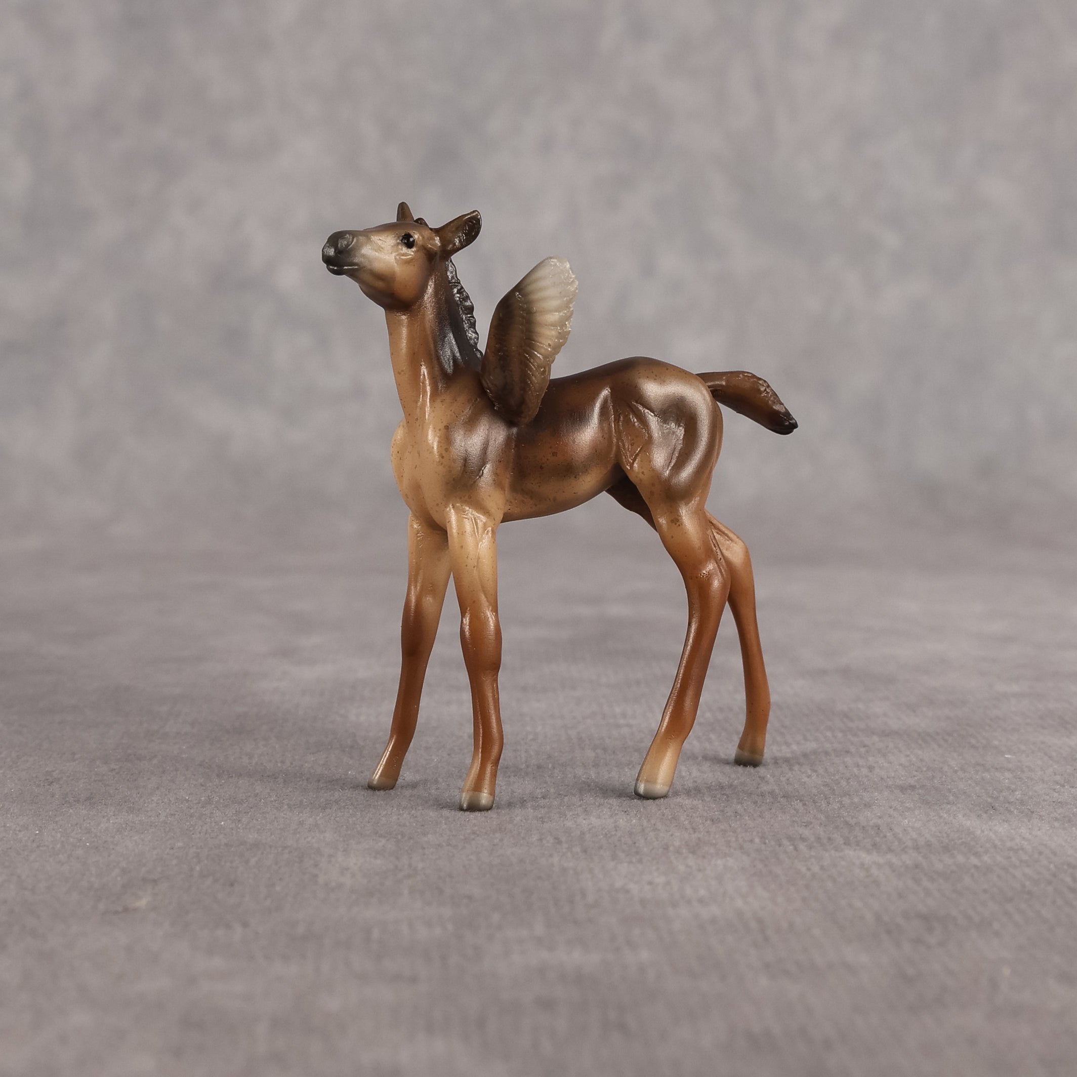 Dandy OOAK FCM Chip Foal by Angela Marleau FTF26