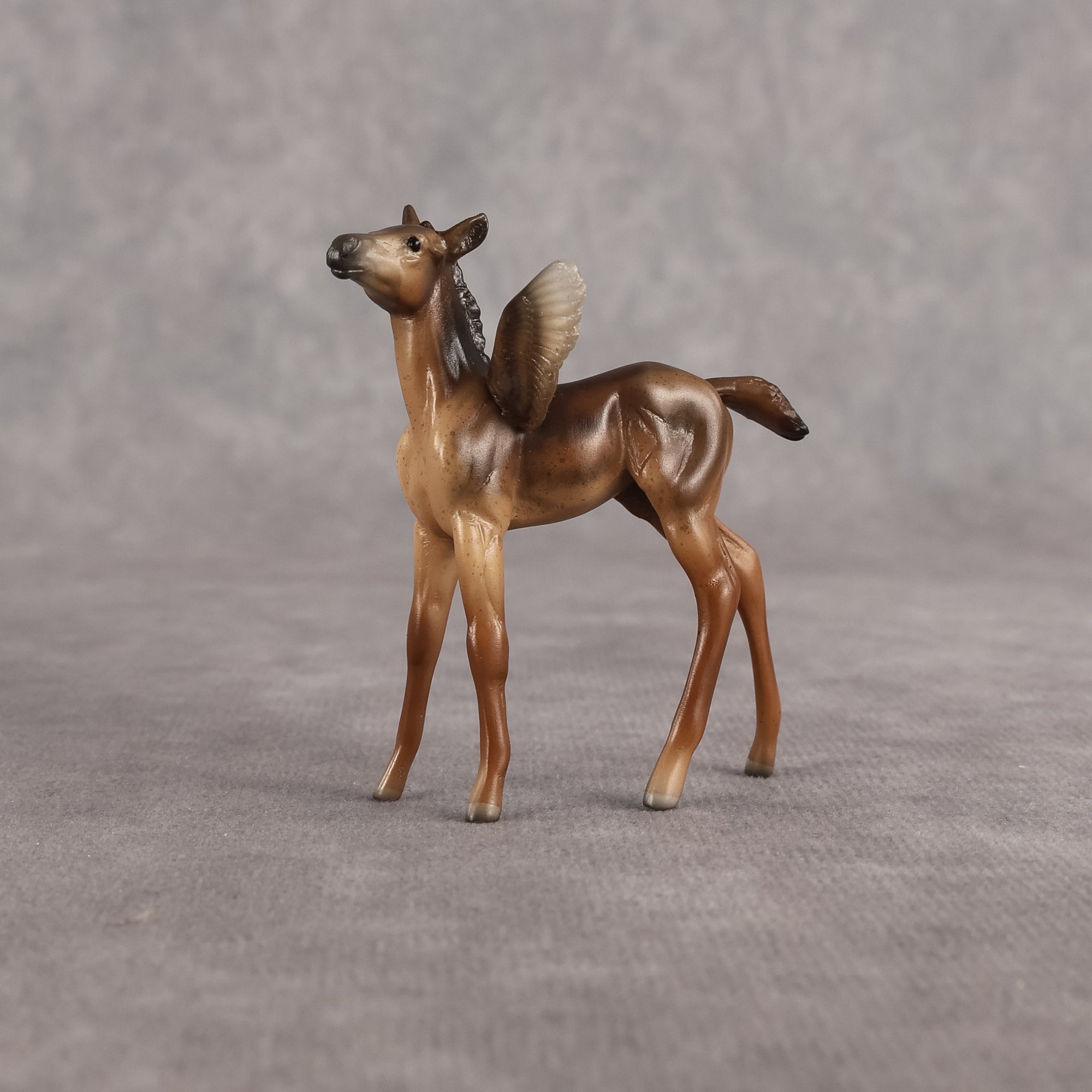 Dandy OOAK FCM Chip Foal by Angela Marleau FTF26
