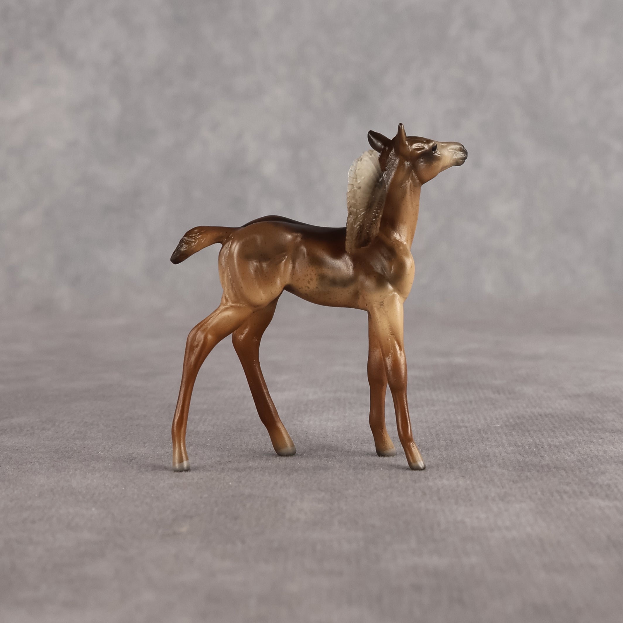 Dandy OOAK FCM Chip Foal by Angela Marleau FTF26