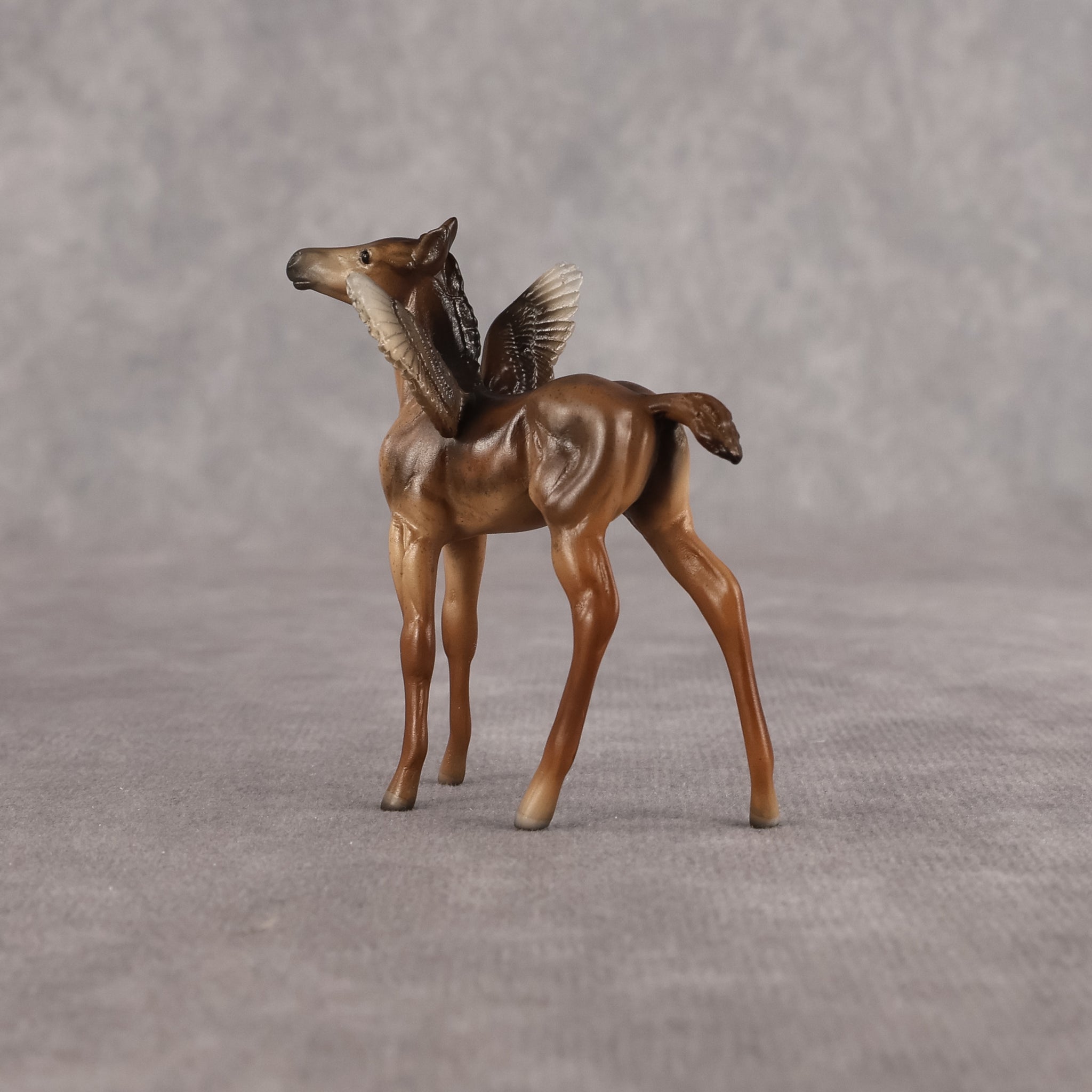 Dandy OOAK FCM Chip Foal by Angela Marleau FTF26