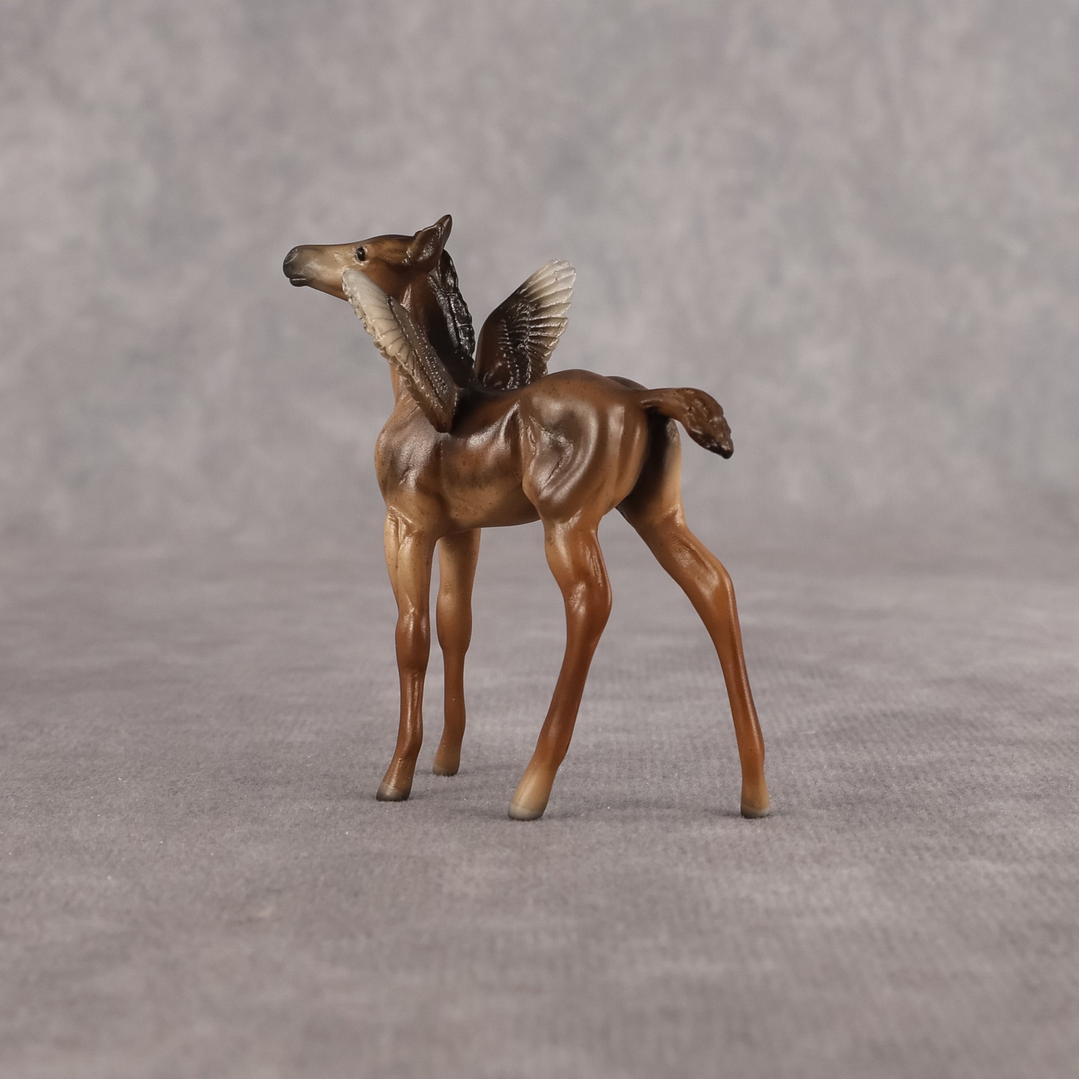 Dandy OOAK FCM Chip Foal by Angela Marleau FTF26