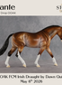 Dante OOAK FCM Irish Draught by Dawn Quick DDOOAKs26