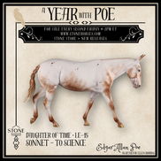 Daughter of Time LE-15 FCM Large Mule by Ellen Robbins YP26