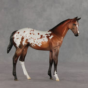 Day By Day OOAK Stock Horse Weanling by Jess Hamill VV26