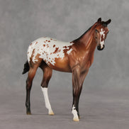 Day By Day OOAK Stock Horse Weanling by Jess Hamill VV26