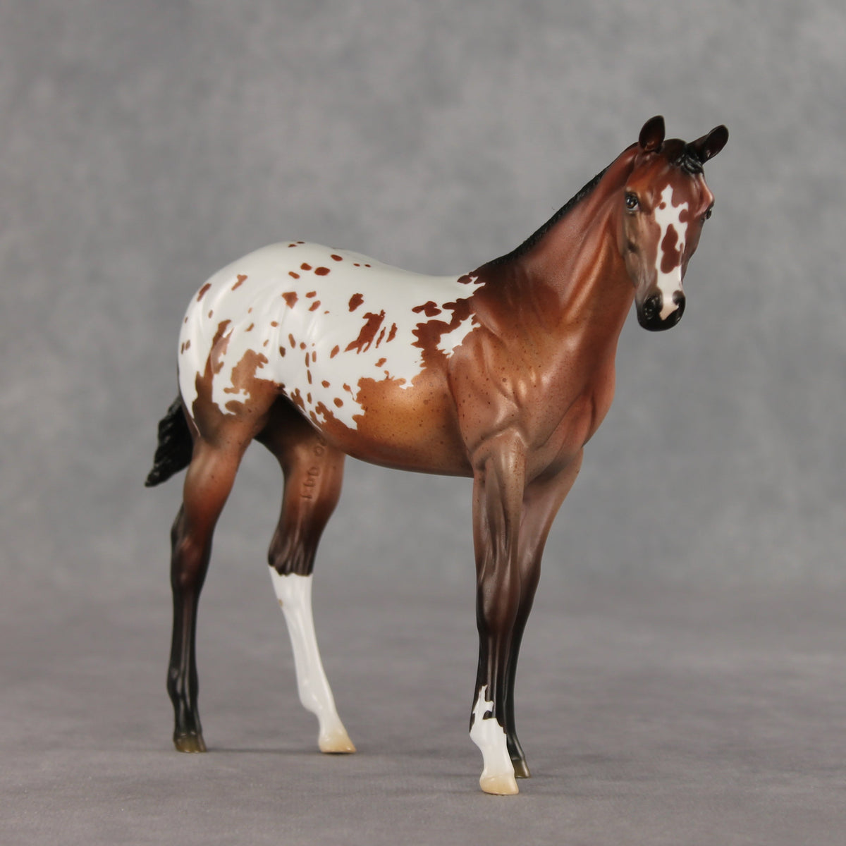 Day By Day OOAK Stock Horse Weanling by Jess Hamill VV26
