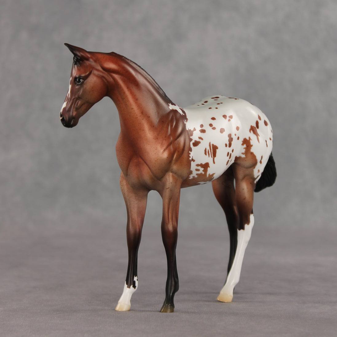 Day By Day OOAK Stock Horse Weanling by Jess Hamill VV26